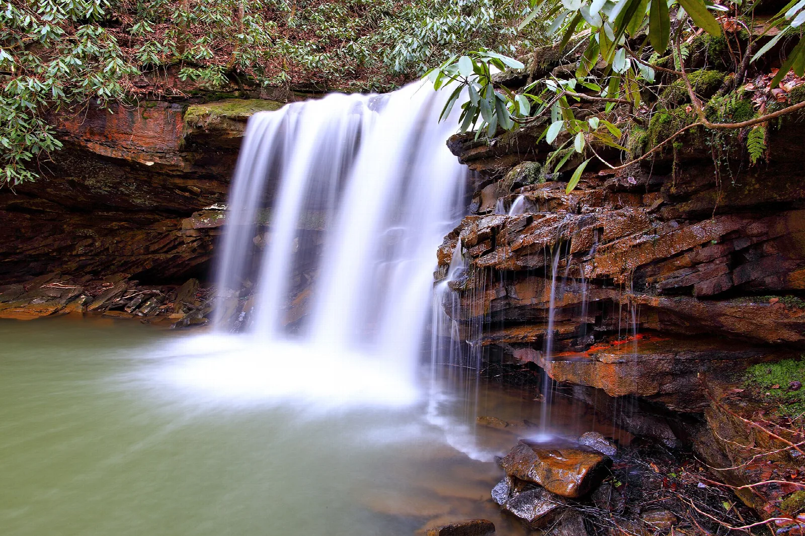 Waterfall over a rock ledge into a pool, framed by mountain laurel