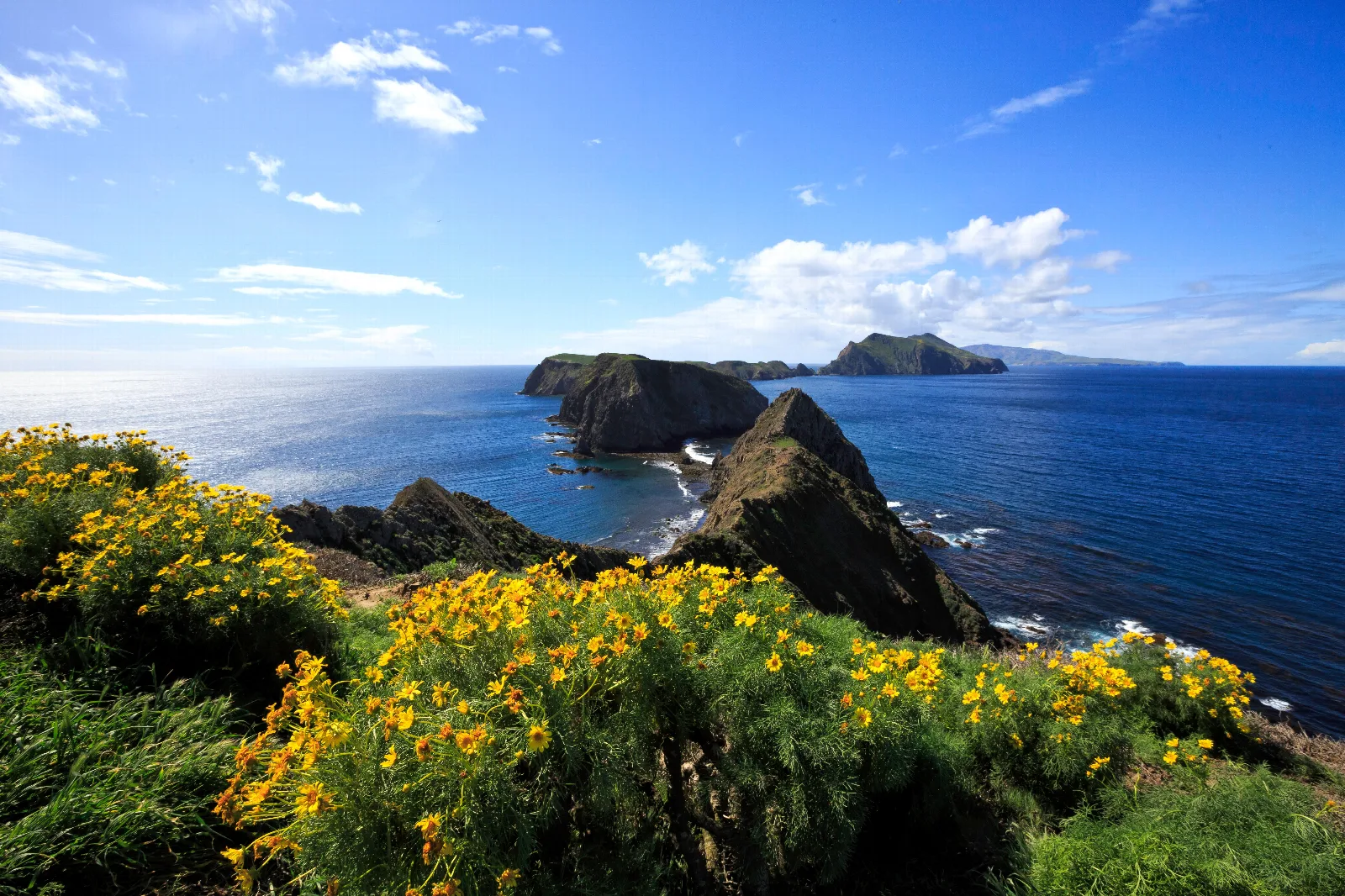 Steep, rugged ocean cliffs extending in an island chain.