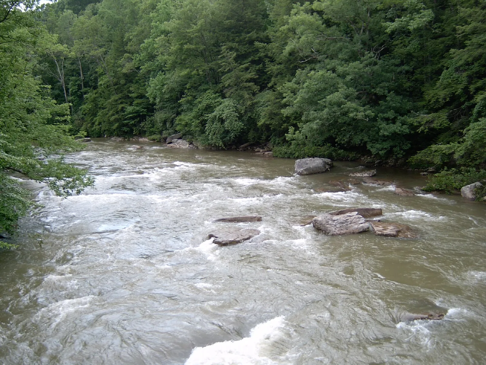 River running over rocks through a green wooded valley