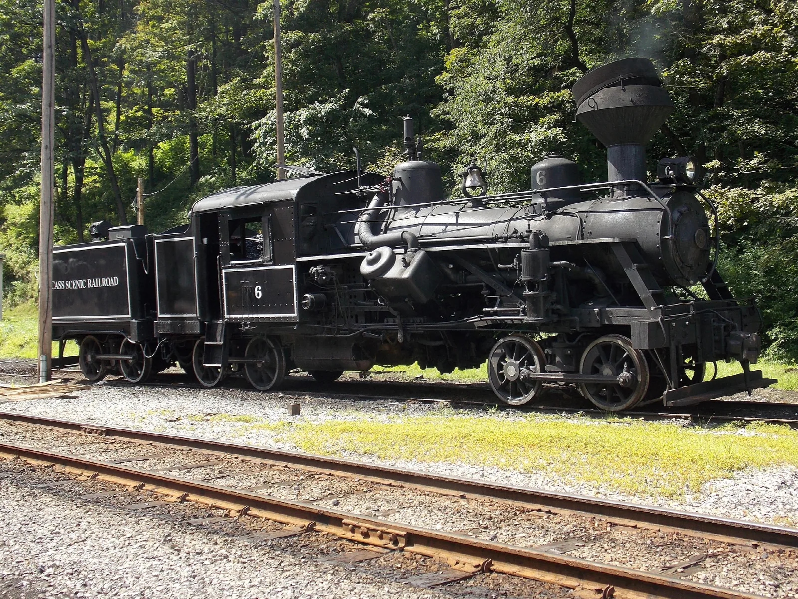 Black steam locomotive standing on the tracks beside a wooded yard