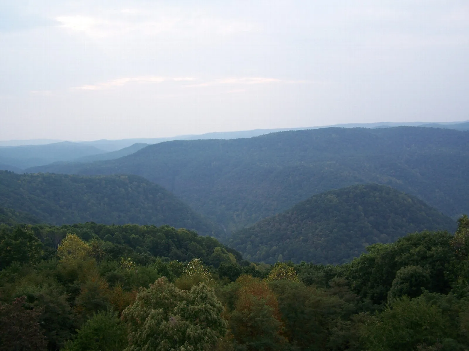 Wooded gorge with forested ridges falling away to a valley floor