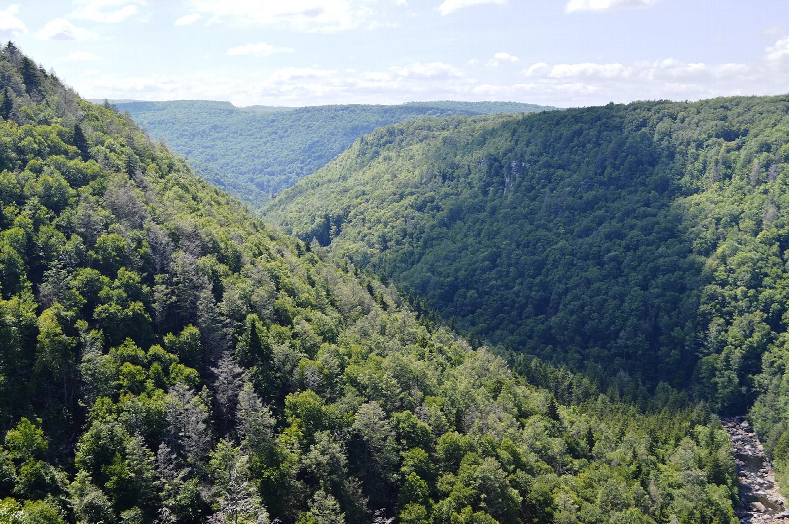Steep forested canyon with a river at the bottom right