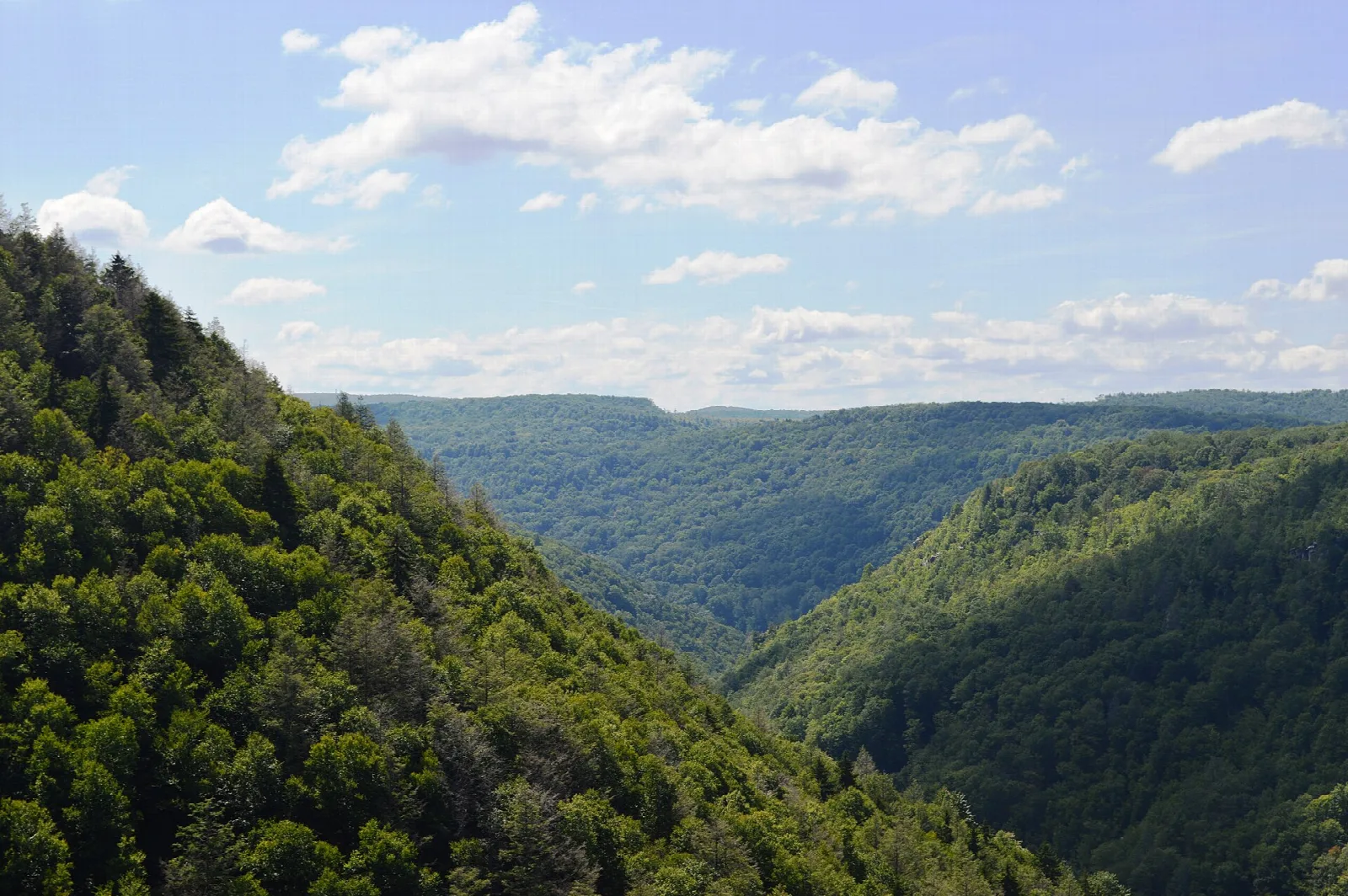 Forested ridges and valleys under a blue sky with clouds