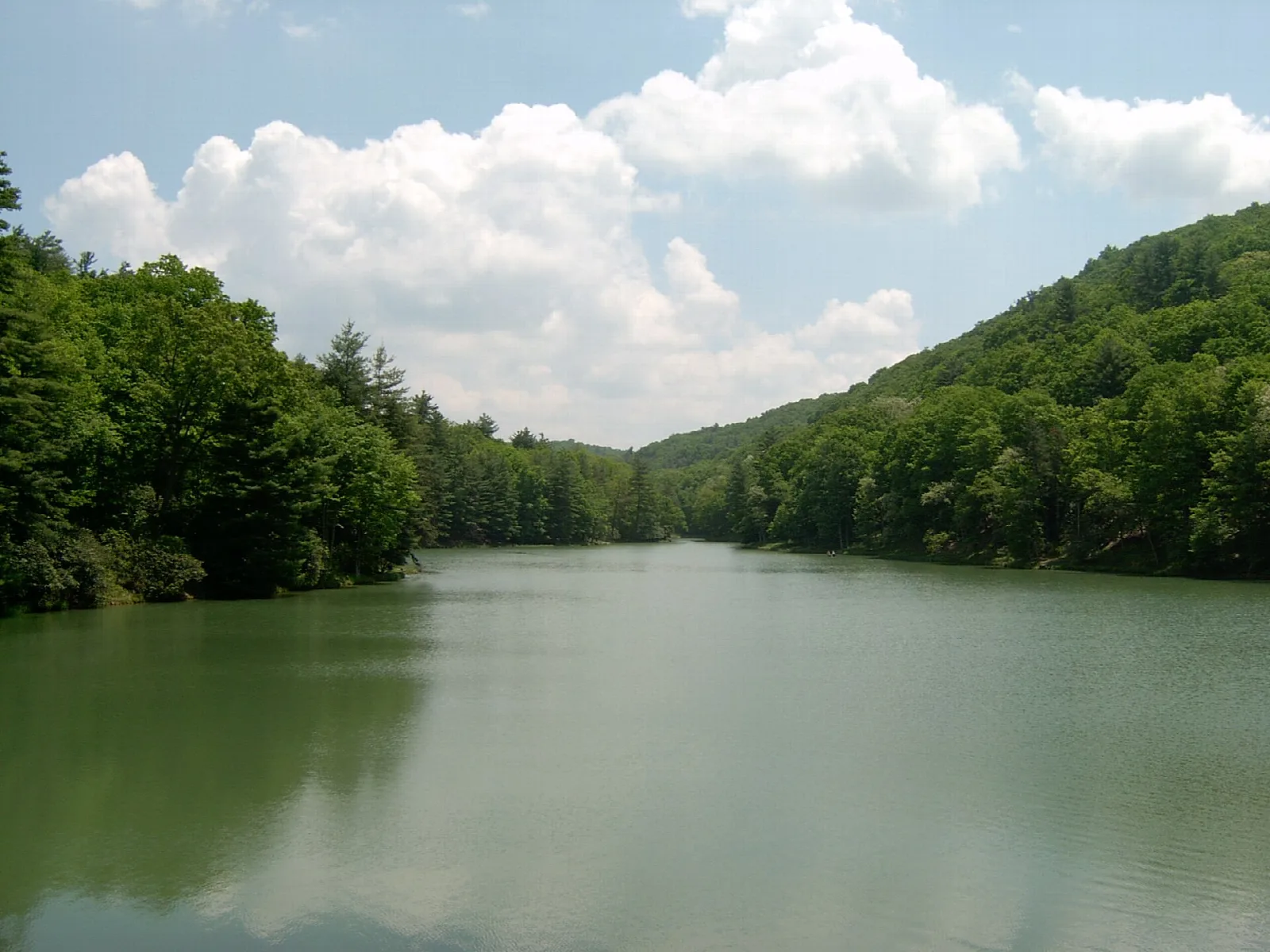 Calm green lake bordered by forested hills under a bright sky