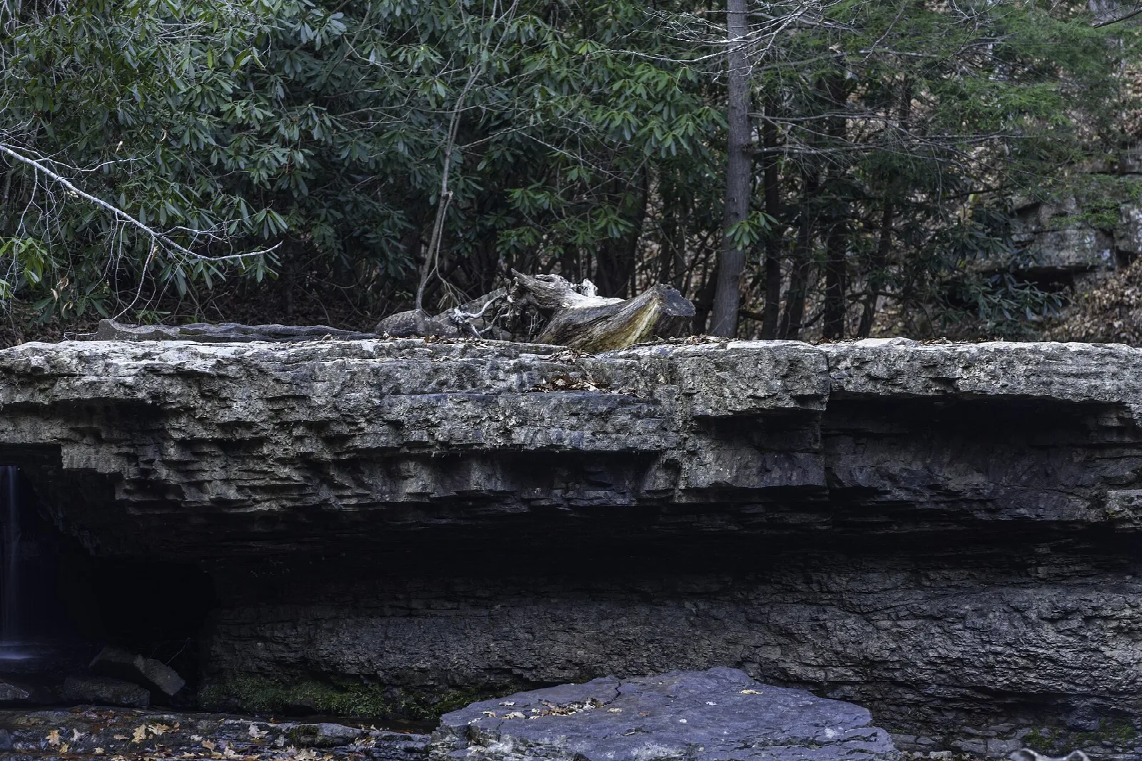 Rock ledge over a stream in a leafless winter forest