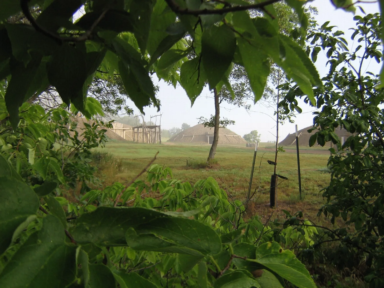 Earthlodges of a reconstructed village seen through leaves across a grassy field