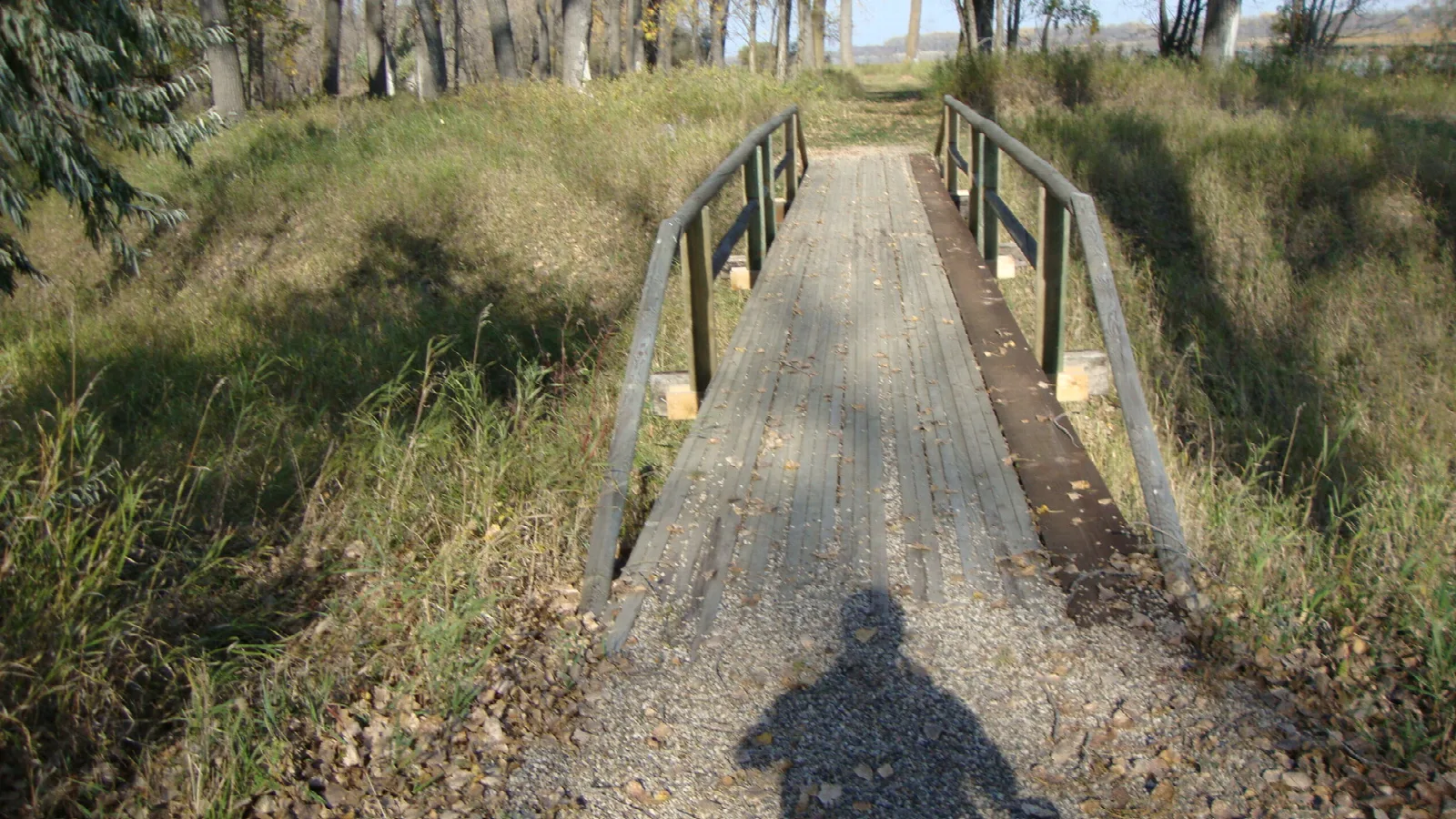 Wooden footbridge with railings on a gravel trail through grass and cottonwoods