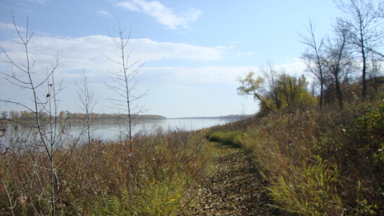 Grassy trail with bare trees leading down to the wide Missouri River under a blue sky