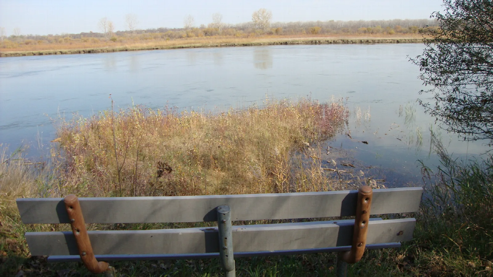 Metal bench facing a calm river backwater with tall dry grass along the bank