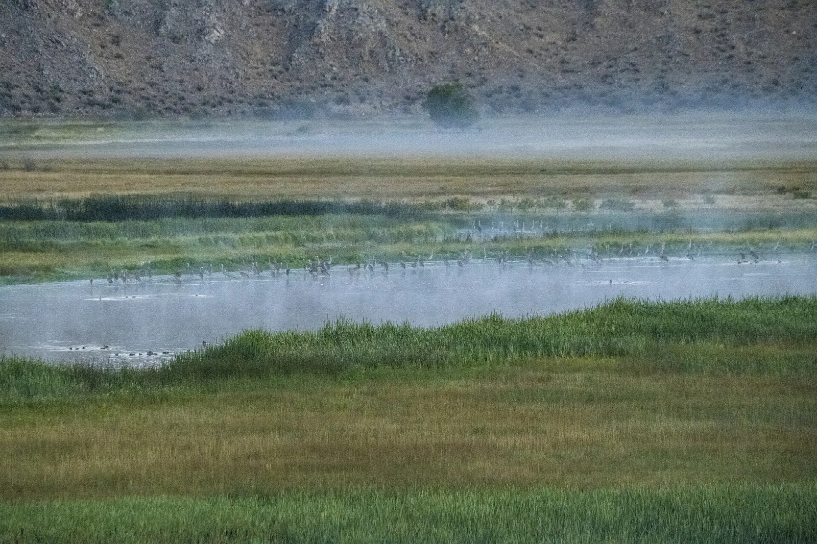 Mist over a marsh and river with rocky hills behind at sunrise