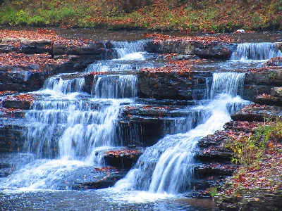 Camp Creek State Forest