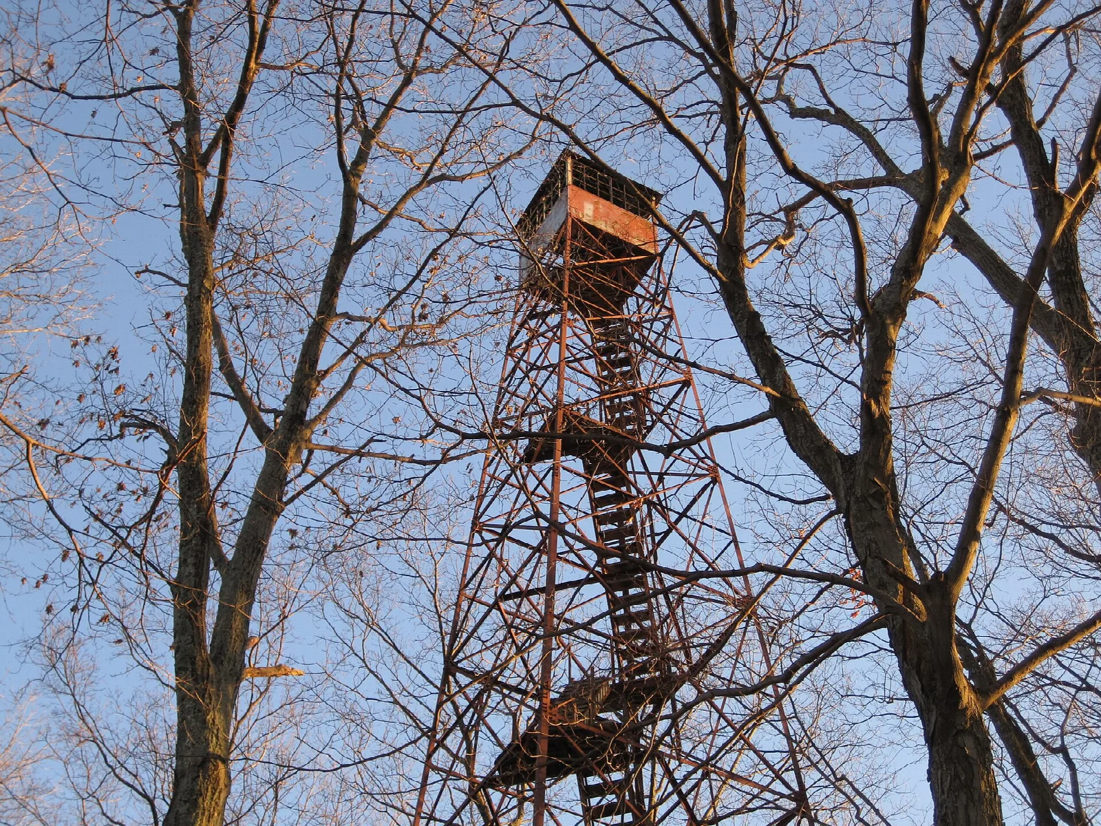 Cabwaylingo State Forest
