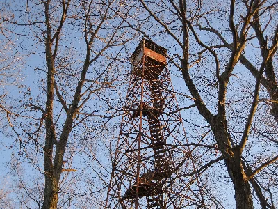 Cabwaylingo State Forest
