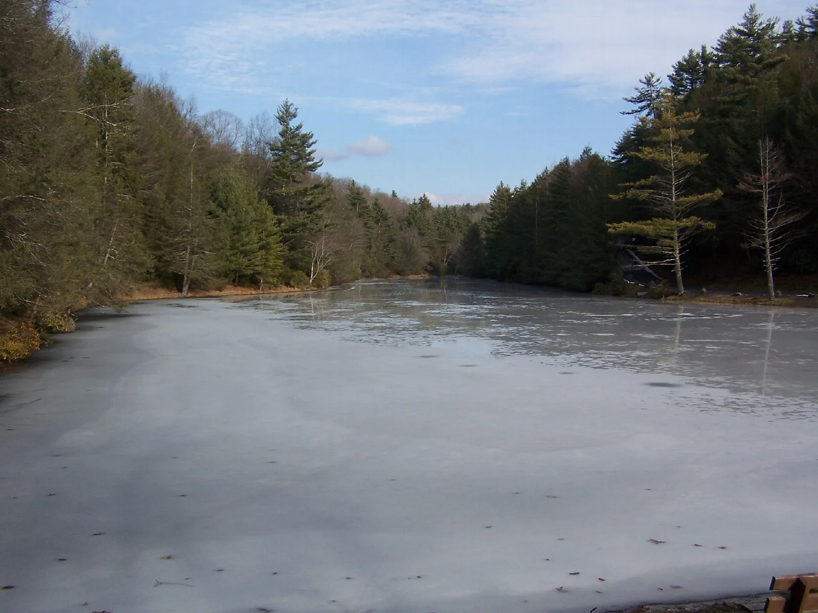Seneca State Forest