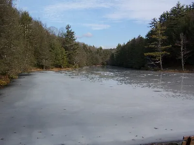Seneca State Forest