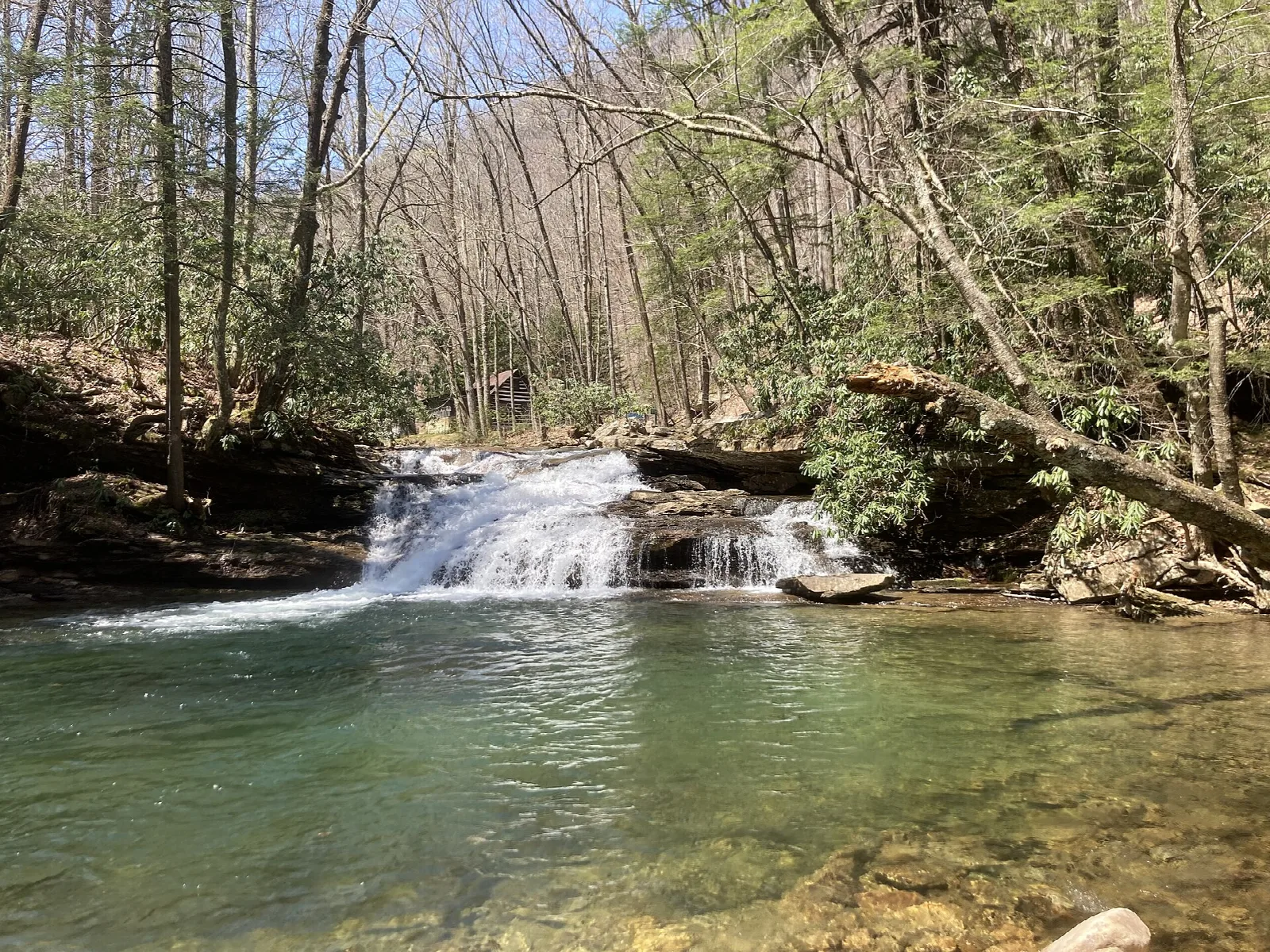 Kumbrabow State Forest