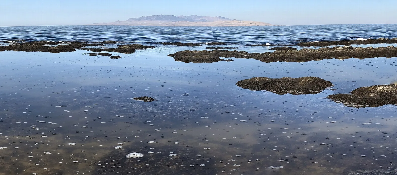 Shallow lake water with dark rock stromatolites and a distant island