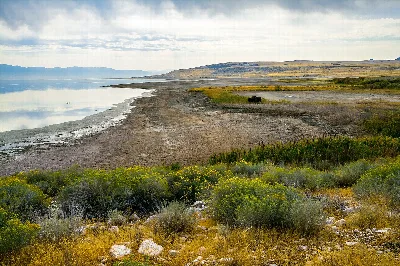 Antelope Island State Park