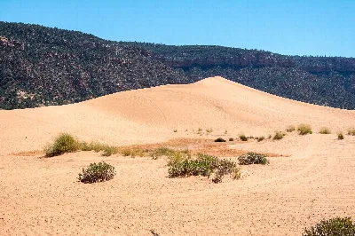 Coral Pink Sand Dunes State Park