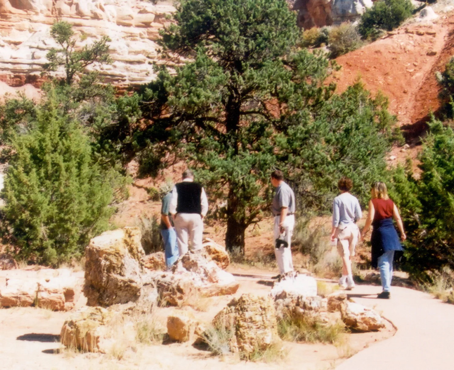 Visitors walking among petrified wood pieces with red cliffs behind