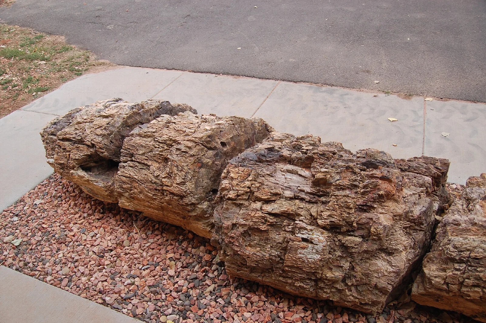 Large petrified log lying beside a paved path