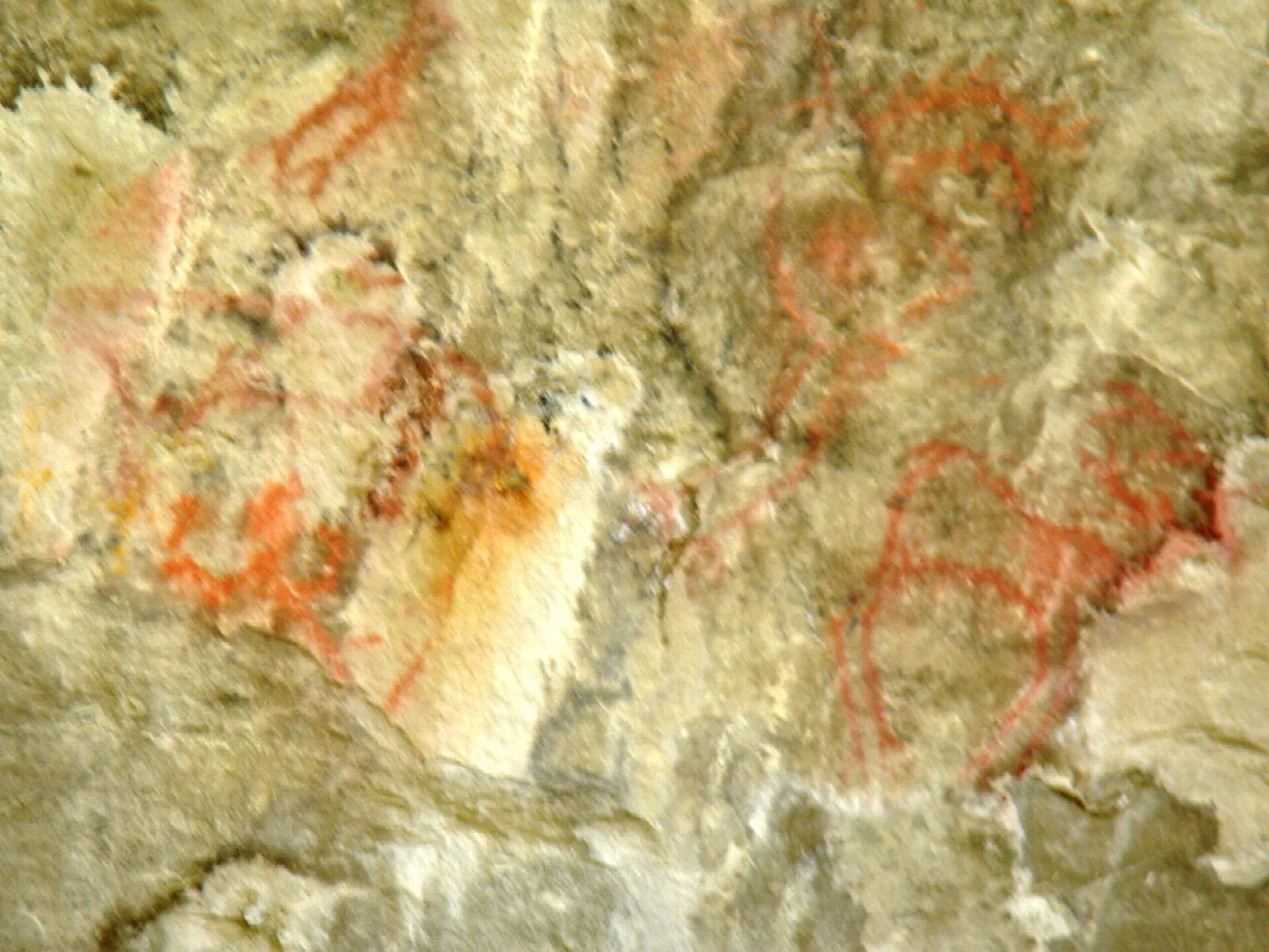 Faded red paintings on a pale rock wall