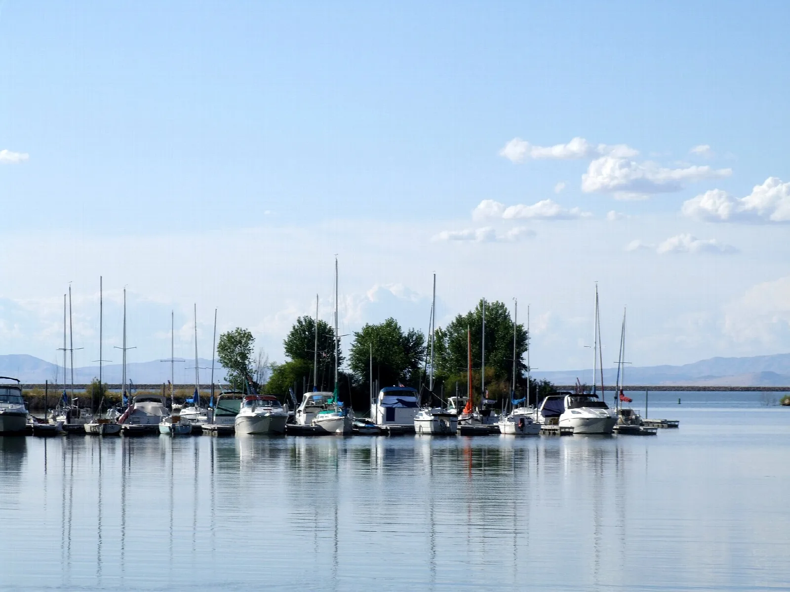 Sailboats docked at a marina on calm water under a blue sky