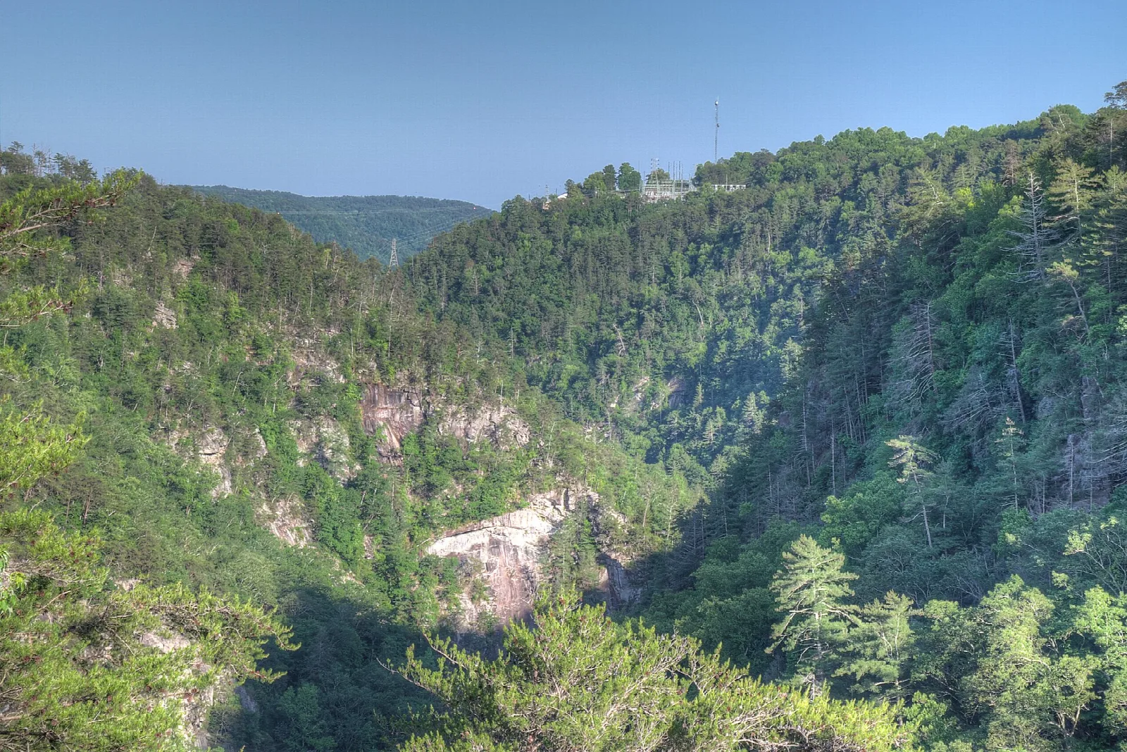 Steep forested gorge walls under a blue sky