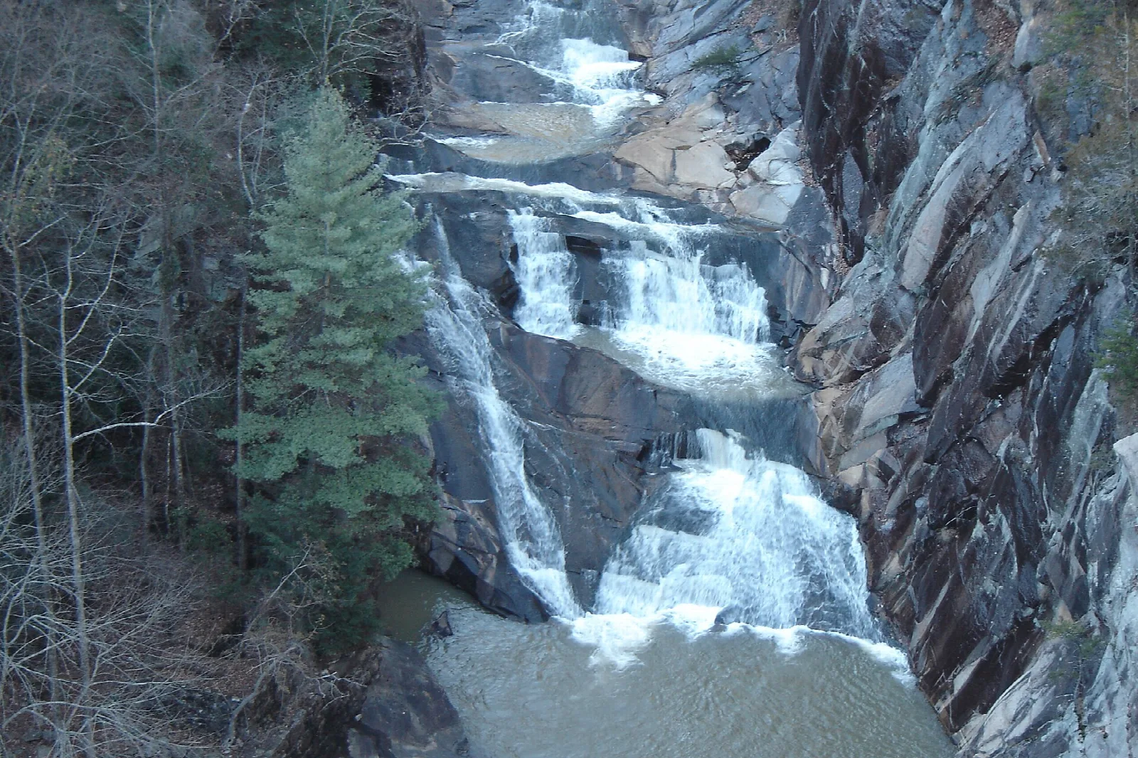Water cascading down a layered rock wall beside a pine tree