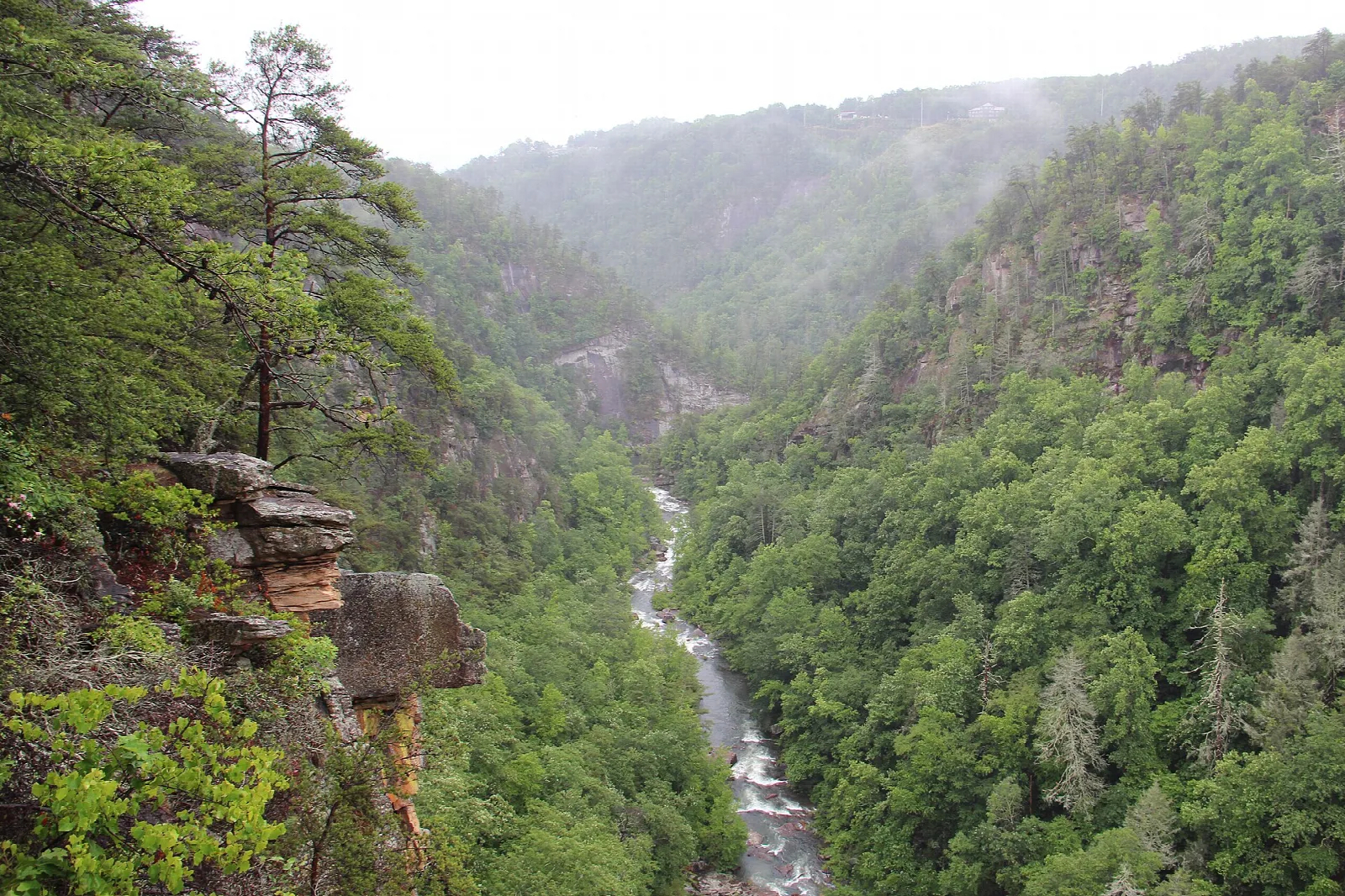 Forested gorge with a narrow river far below, seen from a rocky overlook