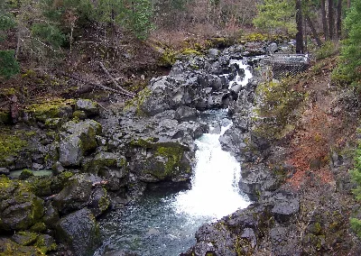 Prospect State Scenic Viewpoint