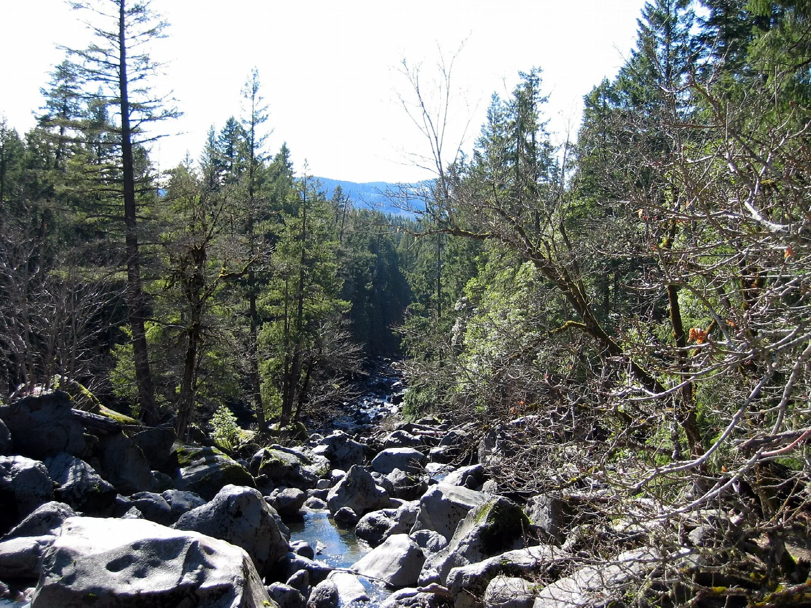 River winding through large dark boulders with forest behind
