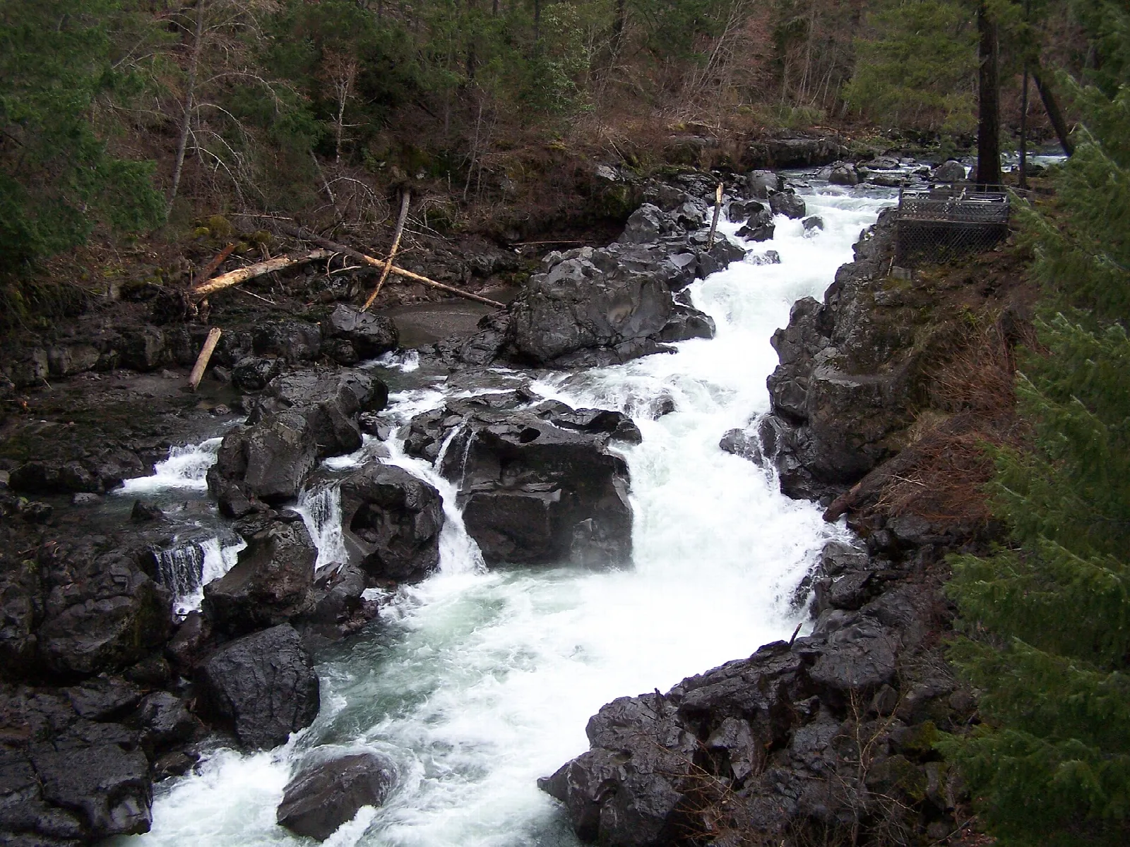 White water in a rocky channel of the Rogue River