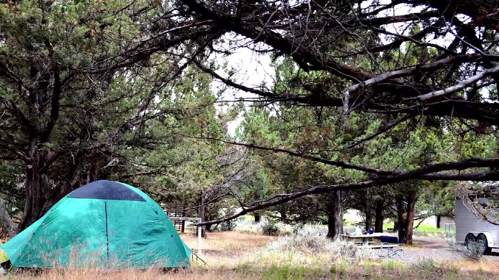 View related to Frenchglen Corral