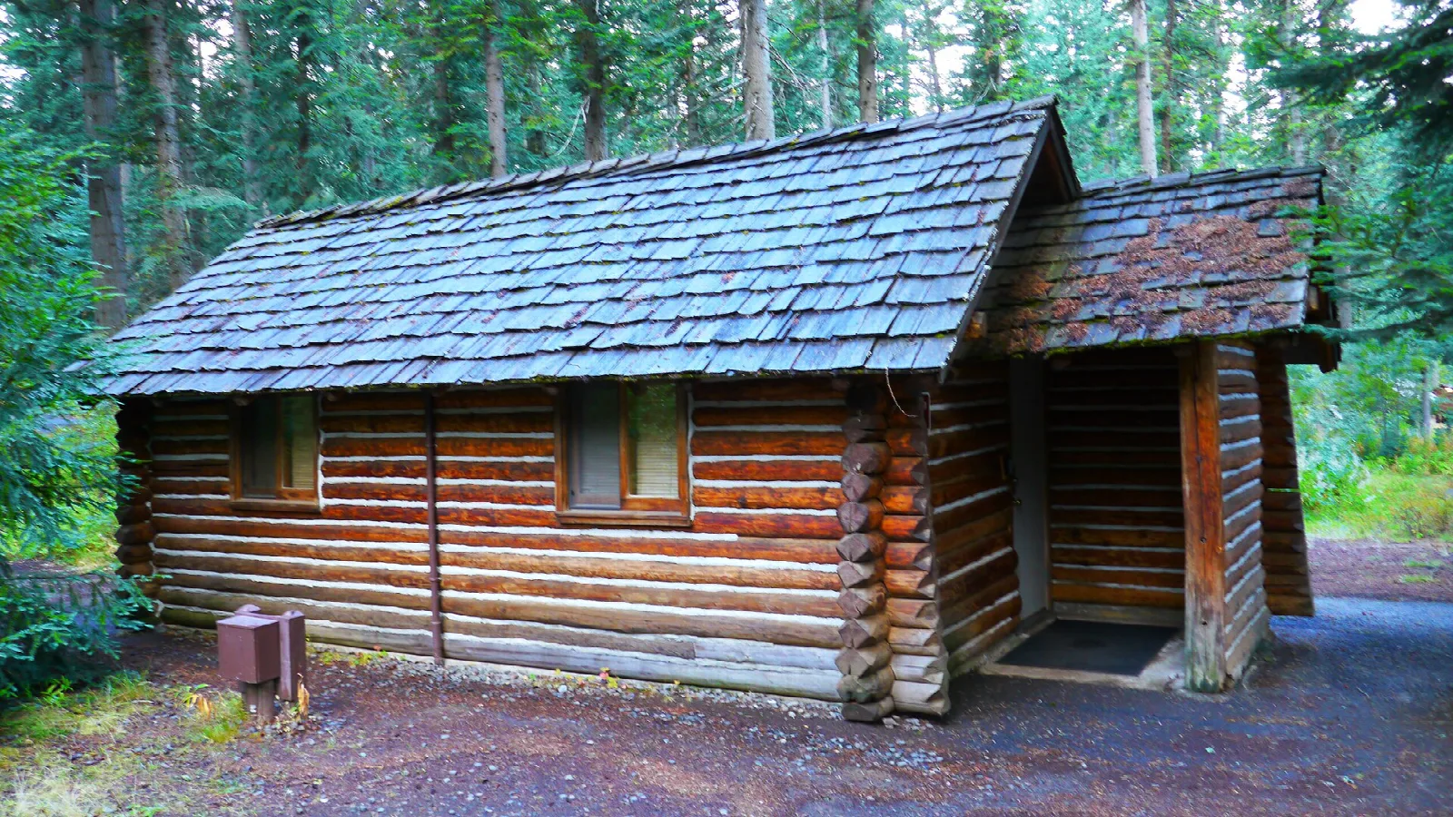 Log cabin with a shingled roof among evergreen trees