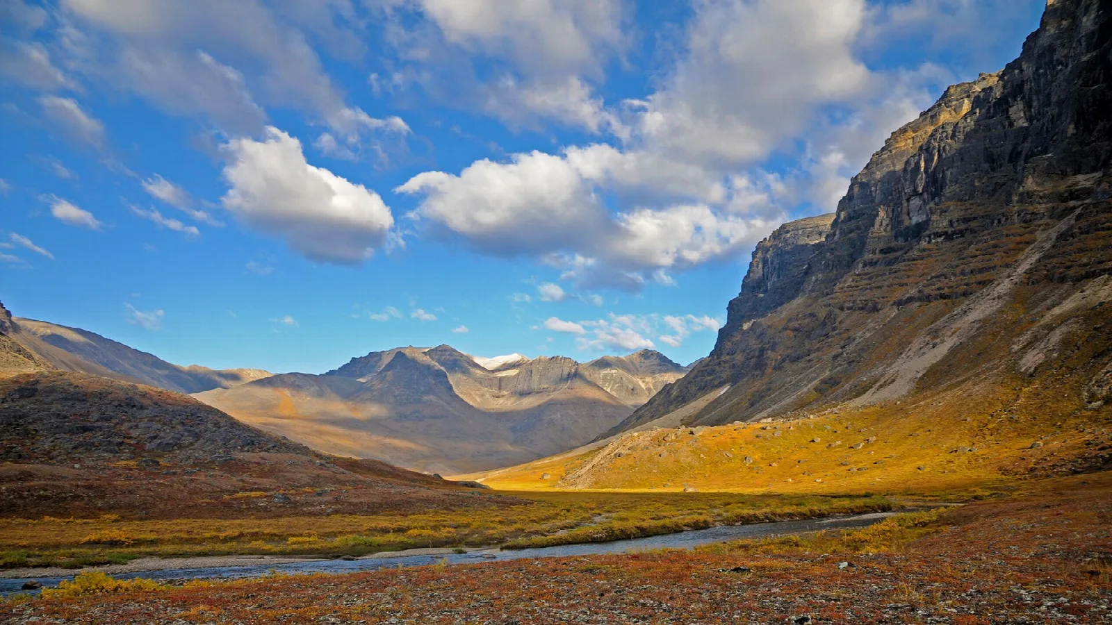 Golden tundra in a wide valley beneath steep cliffs and a blue, cloud-dotted sky