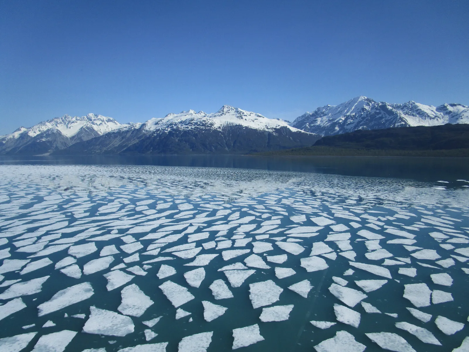 Pan ice in Tarr Inlet