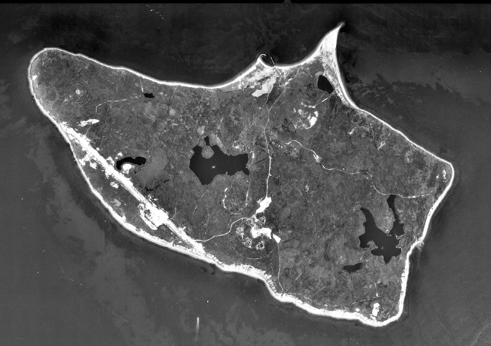Nomans Land Island National Wildlife Refuge