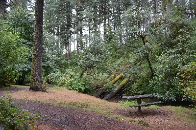 Alderwood State Wayside
