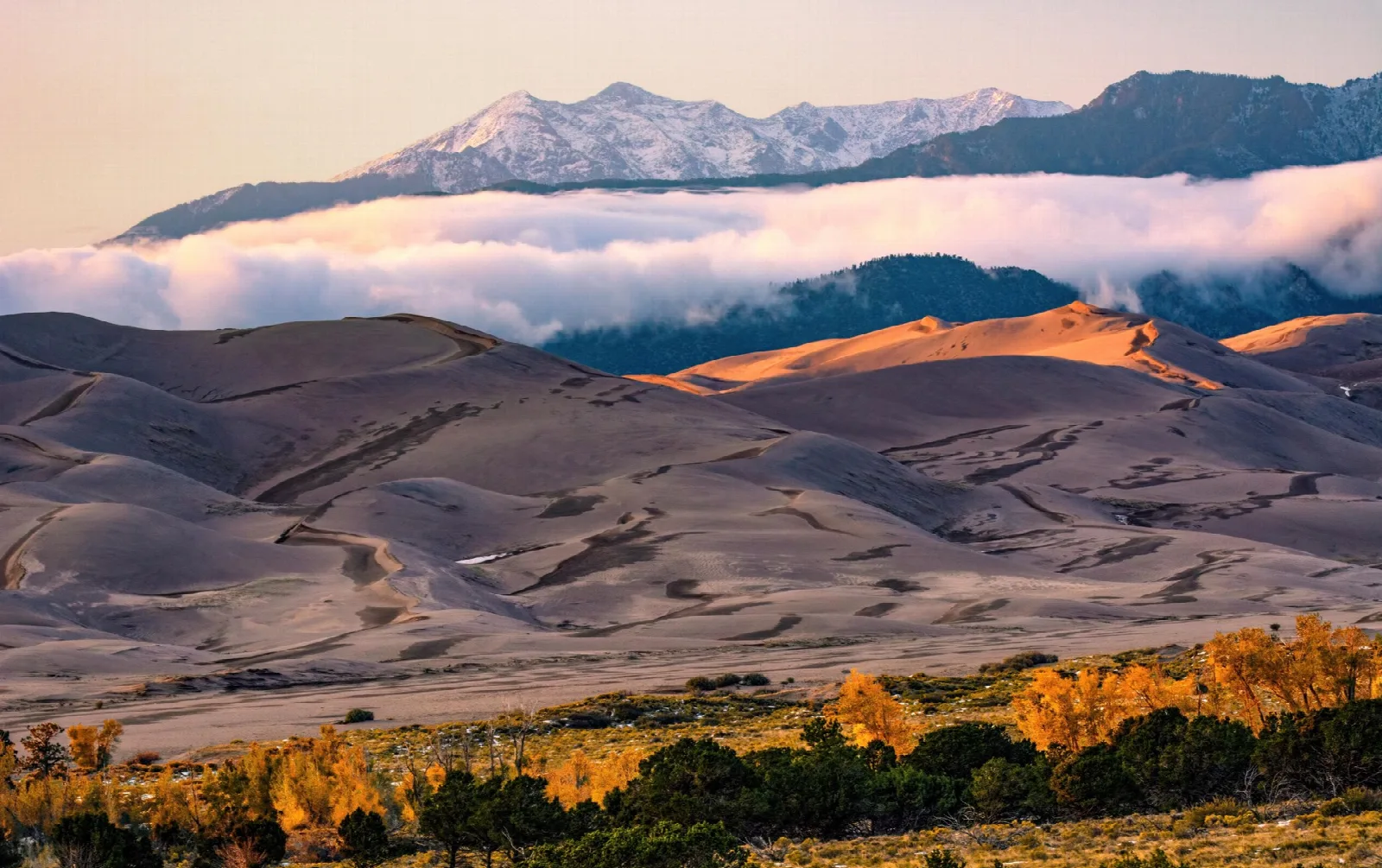 Golden autumn cottonwoods below the dunes, with low clouds and a snowy peak beyond