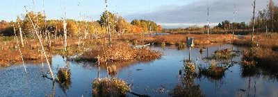 Missisquoi National Wildlife Refuge
