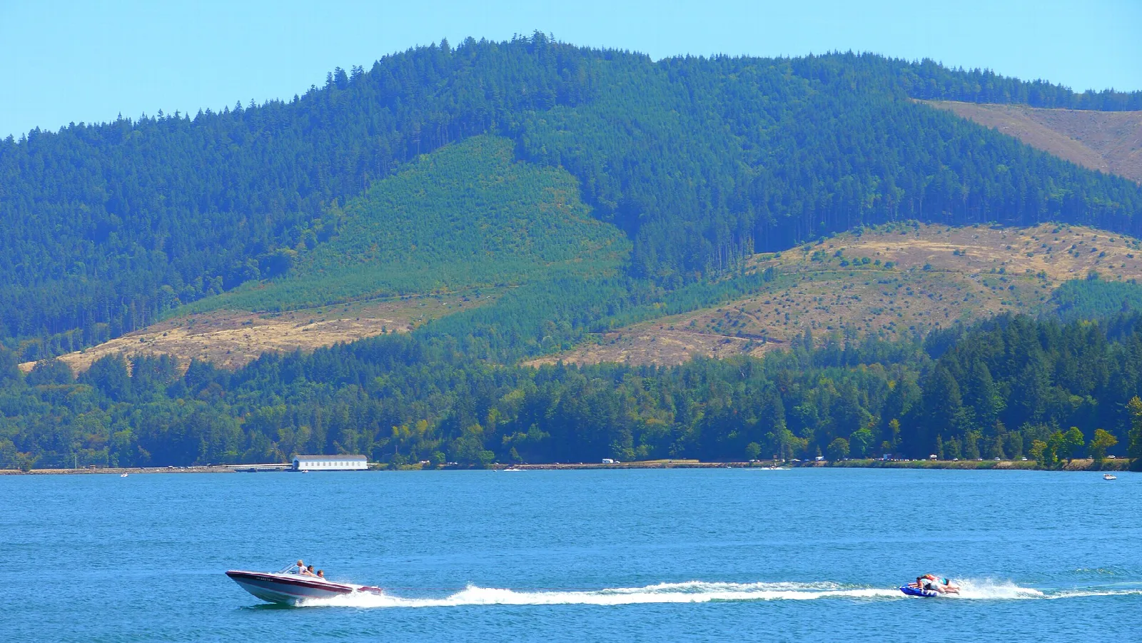 Speedboats on the lake with forested hills behind