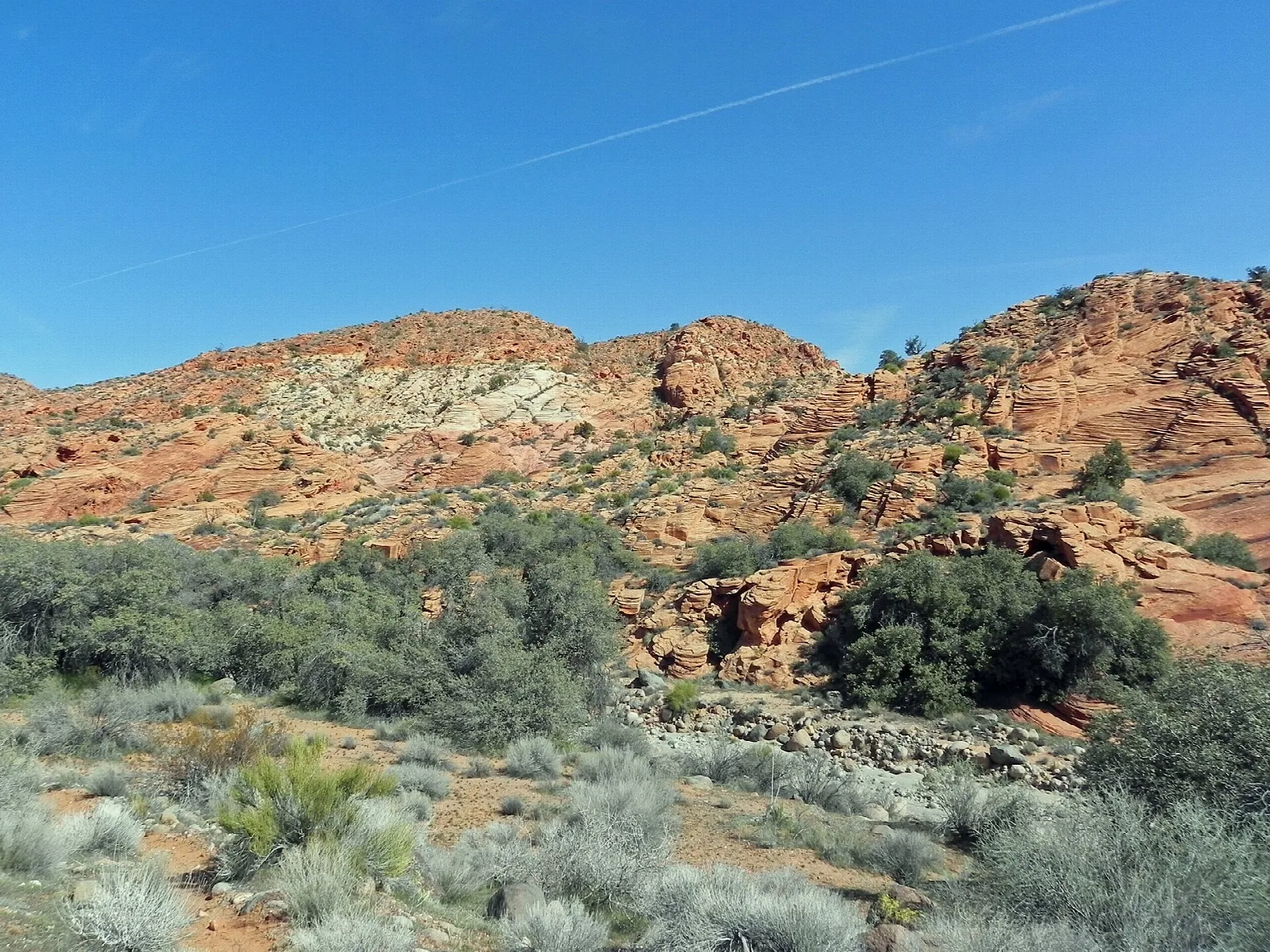 Cottonwood Canyon Wilderness