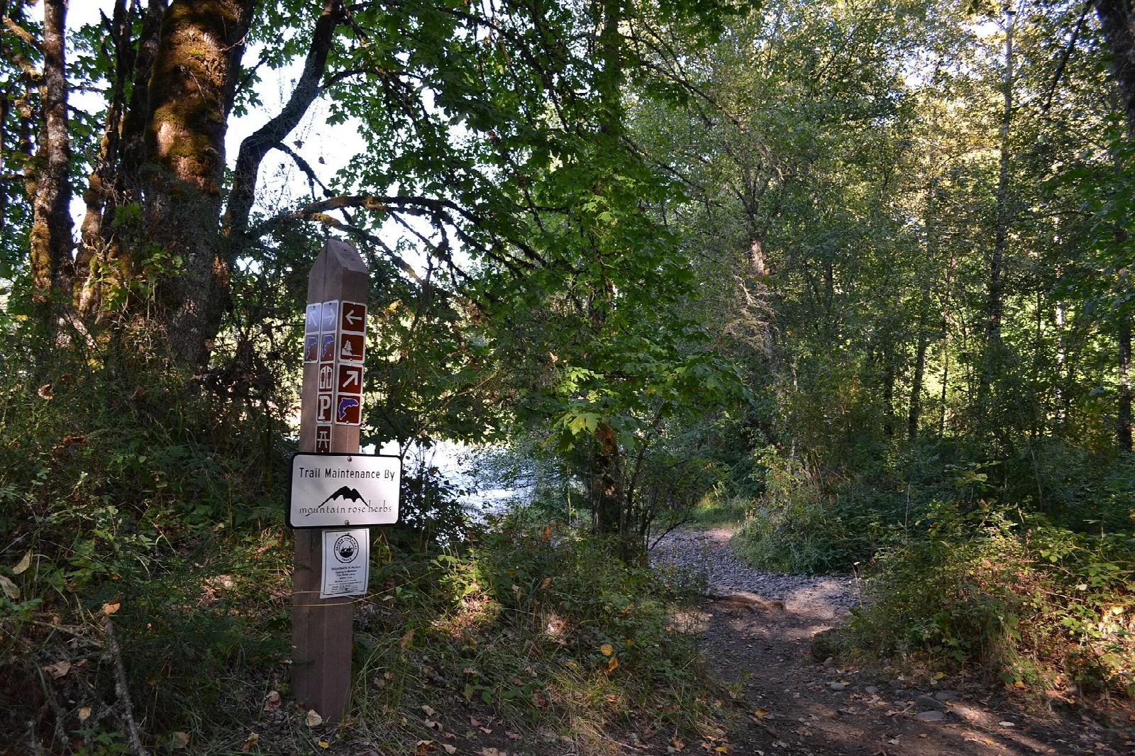 Dirt trail through leafy woods with a trail marker post
