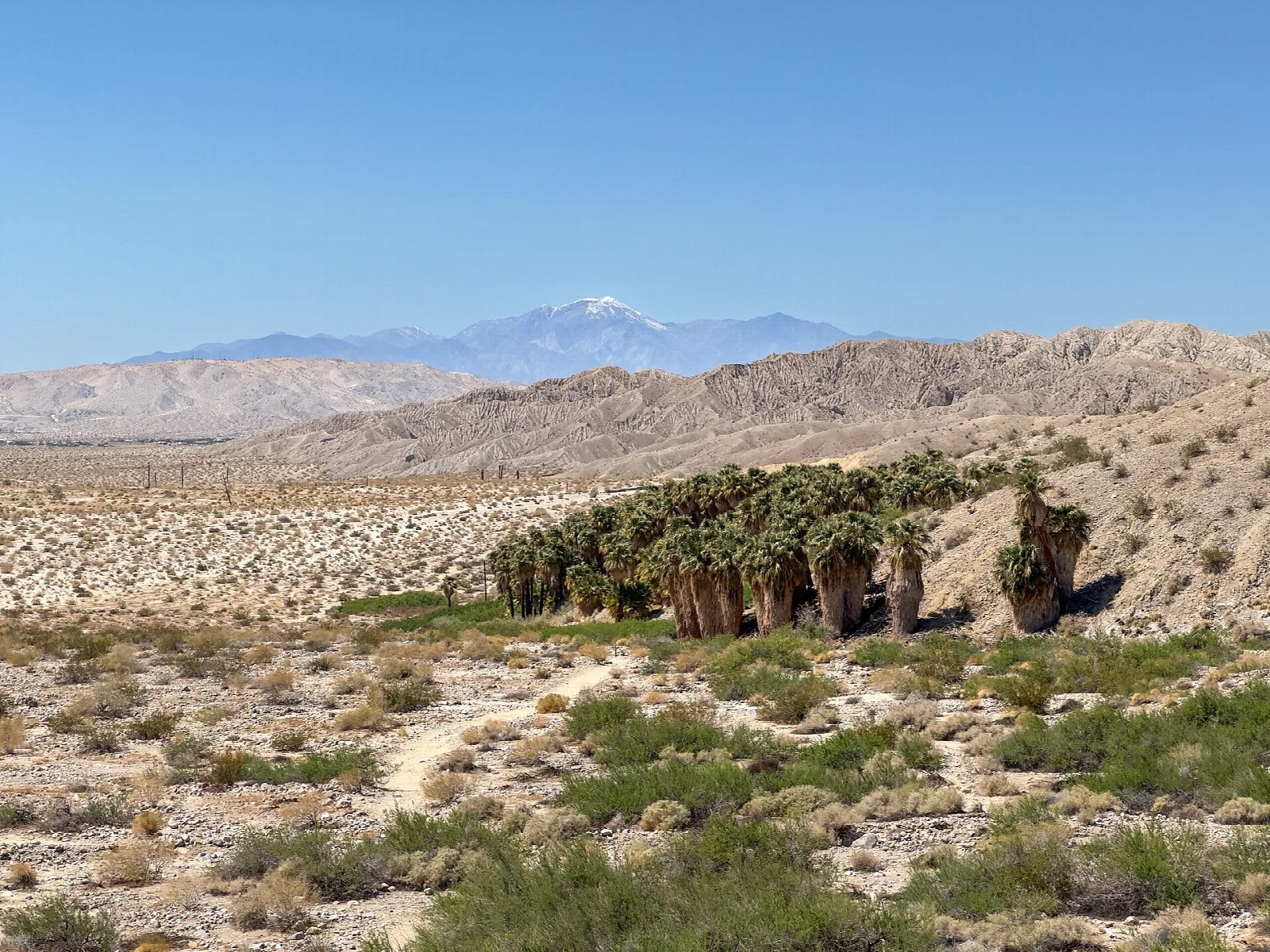 Coachella Valley Preserve