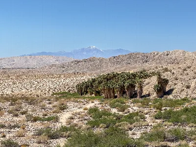 Coachella Valley Preserve