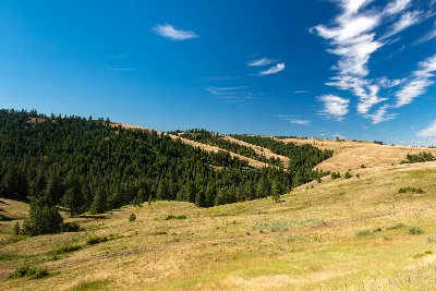 Battle Mountain Forest State Scenic Corridor
