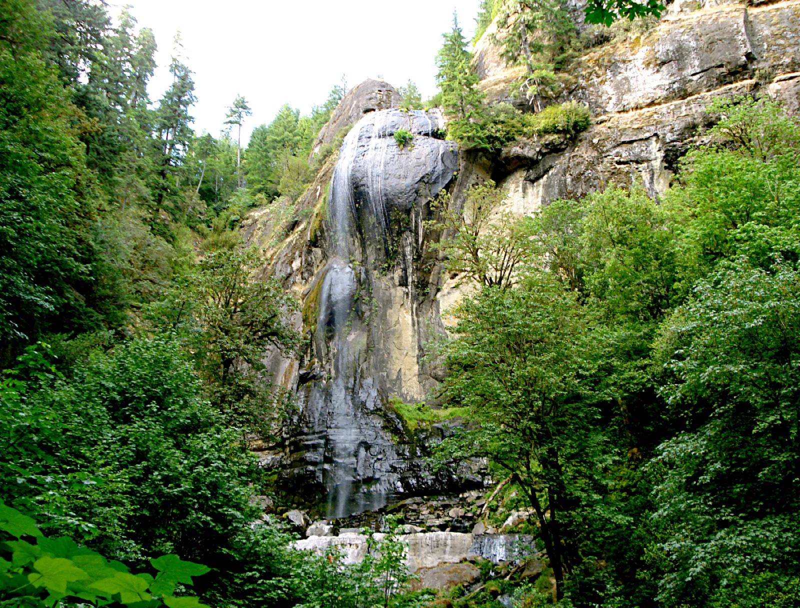 Thin waterfall dropping down a rock cliff between green forest