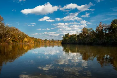 Congaree National Park