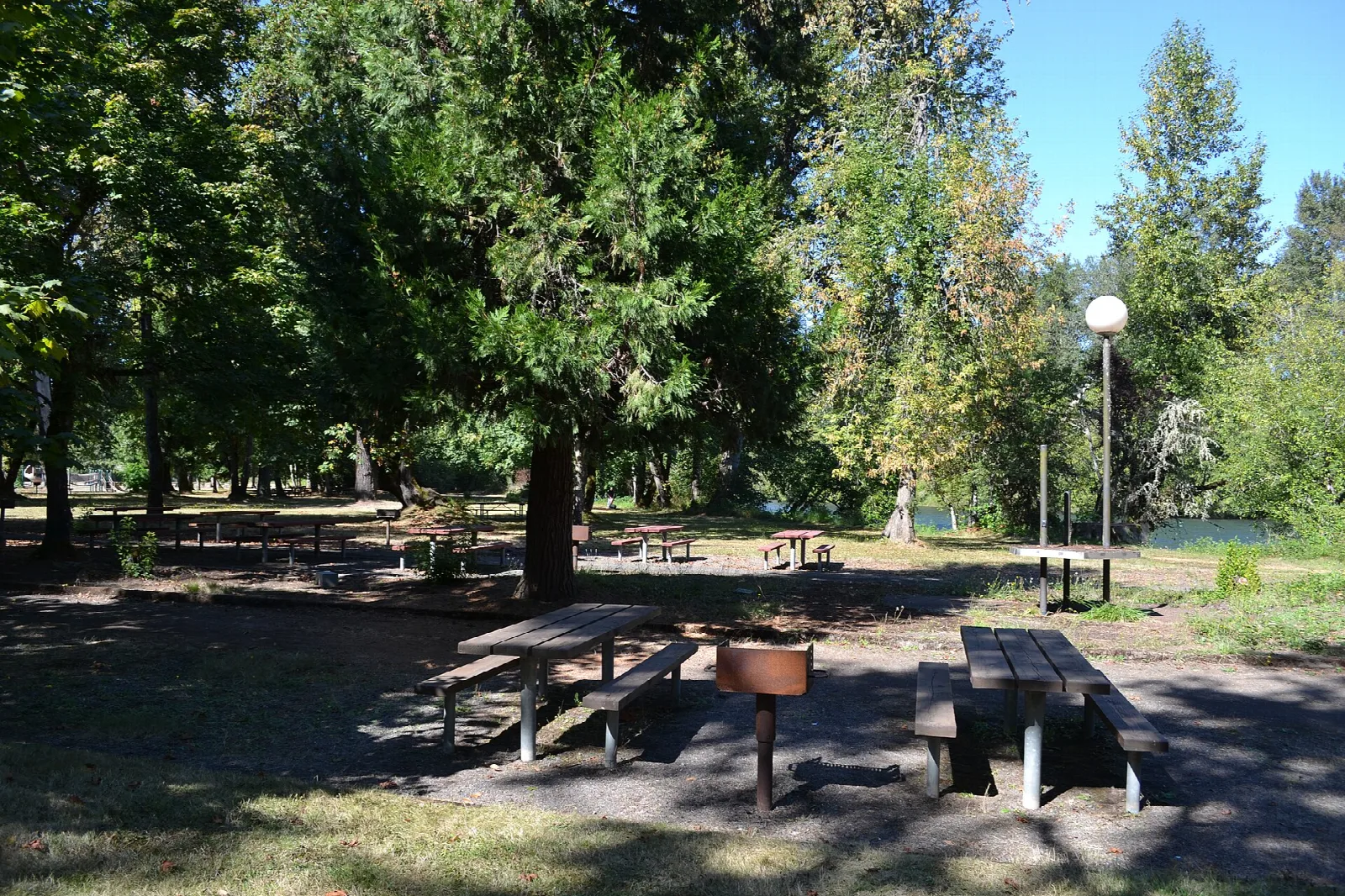 Picnic tables and a grill under tall trees with the river behind